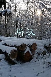 斯沃