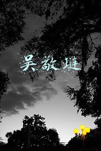 吴敬琏