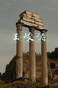王峻涛