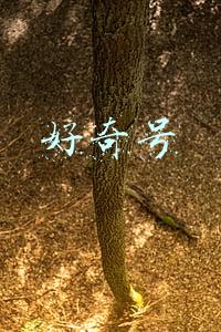 好奇号