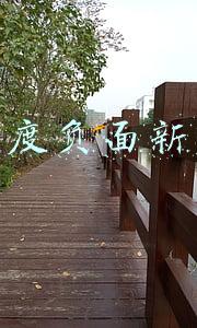 百度新闻曝光(突发！百度多人被警方带走)