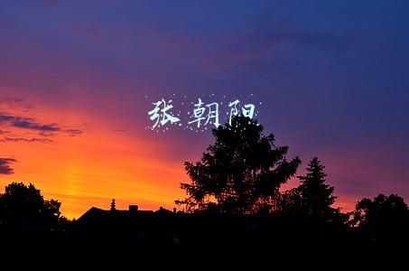 张朝阳