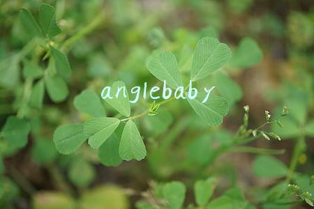 anglebaby