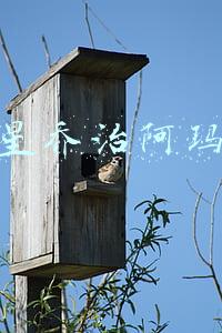 三星乔治阿玛尼