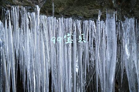 qq宝贝还能玩吗(现在还有人在乎QQ等级吗？)