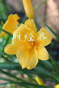 财经界