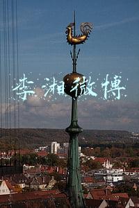 李湘微博