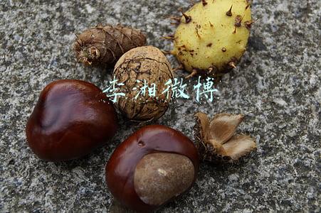 李湘微博