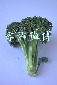 李湘微博