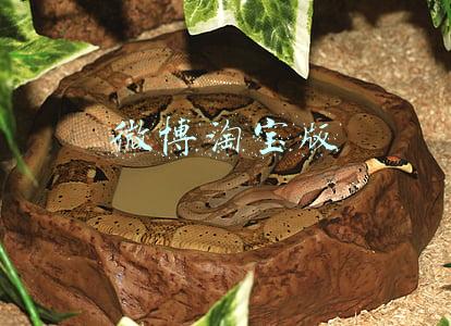 微博淘宝版