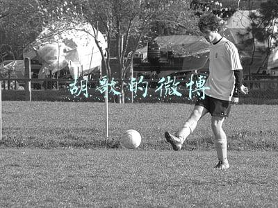 胡歌的微博