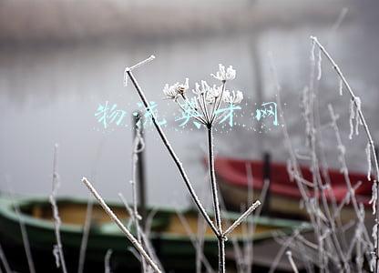物流英才网