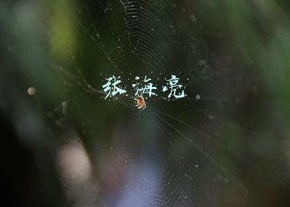张海亮昆明理工大学(昆明理工大学调研组到琅勃拉邦湄公河特大桥施工现场调研)