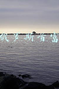 俄罗斯首富