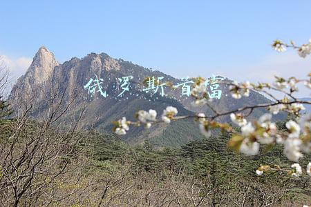 俄罗斯首富