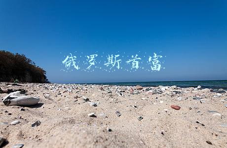 俄罗斯首富