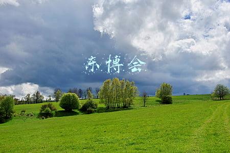 东博会