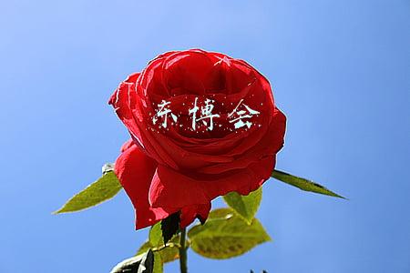 东博会