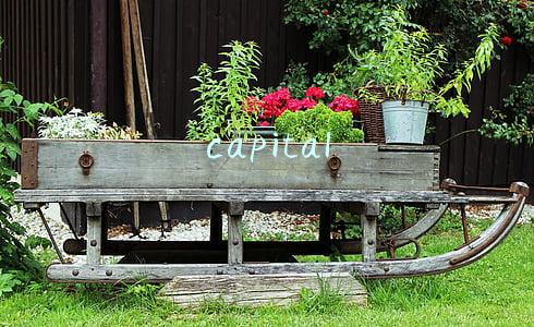 capital