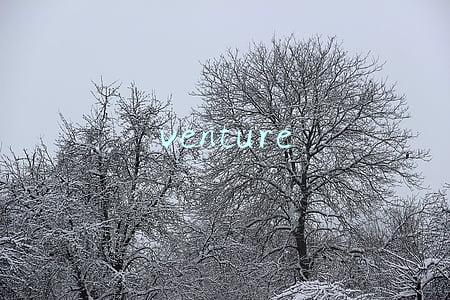 venture