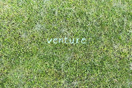 venture