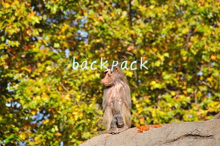backpack