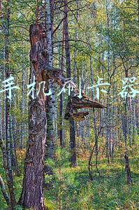 手机刷卡器