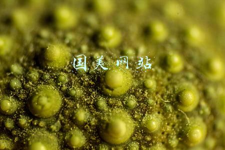 国美网站