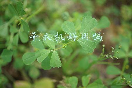 干衣机好用吗