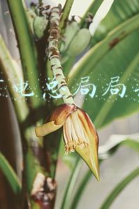 广电总局局长