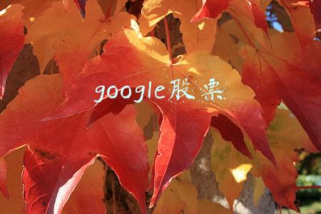 google股票