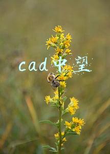cad中望