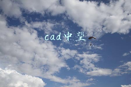 cad中望