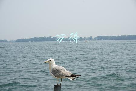 万得