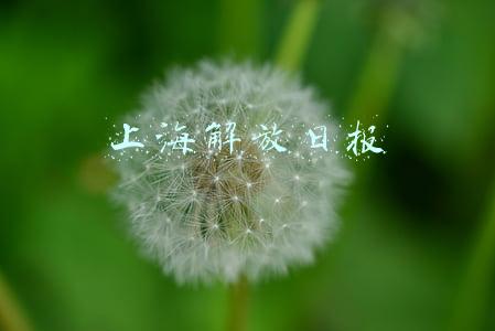 上海解放日报电子版(《解放日报》敬告读者)