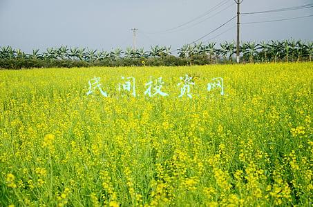 民间投资网
