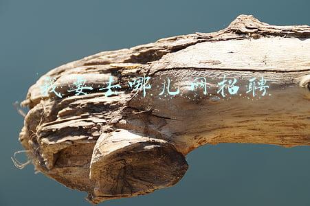 我要去哪儿网招聘