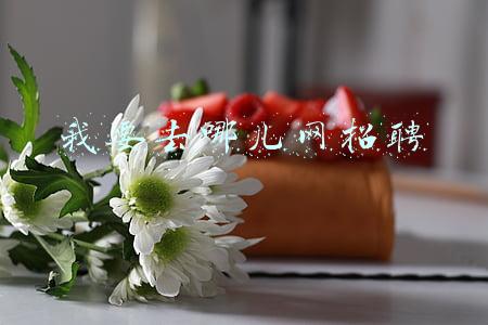 我要去哪儿网招聘