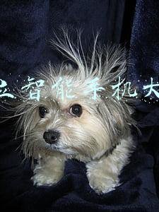 金立智能手机大全
