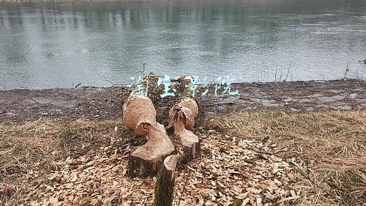 淘宝影院