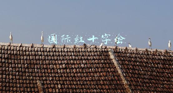 国际红十字会