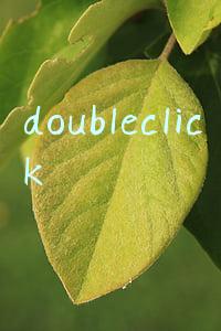 doubleclick