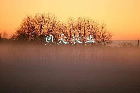 回天胶业
