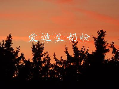 爱迪生奶粉