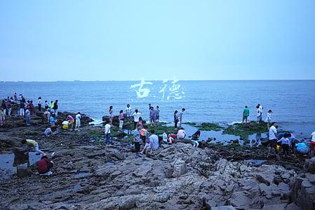 古德设计网(英国推未来客机舱设计 可用紫外线“杀死”病毒)