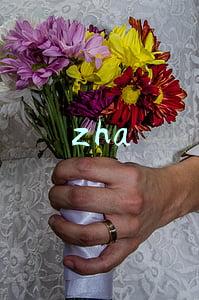 zha