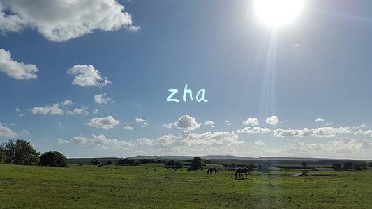 zha
