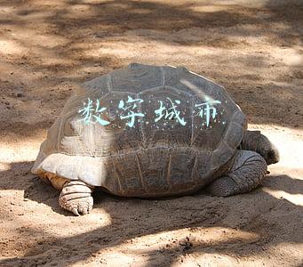 数字城市