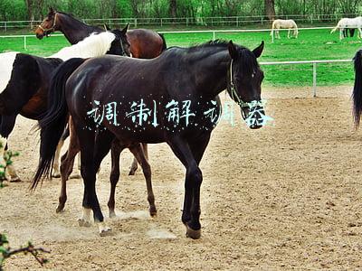 调制解调器