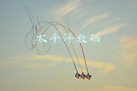 太平洋数码